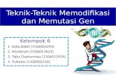 Teknik Modifikasi dan Mutasi Gen  Teknologi Bioproses Universitas Indonesia