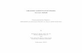 UBCSAND UDM Documentation