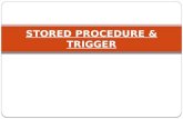 Stored Procedure & Trigger