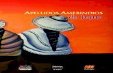 Apellidos Amerindios de Jujuy - Brawn