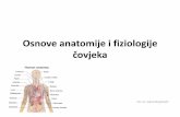9. Osnove Anatomije i Fiziologije Covjeka