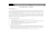 Program Audit.pdf