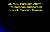 G5P4A0 Parturien Aterm + Perdarahan Antepartum Suspek Plasenta - Copy