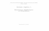 Cours Algebre SMIA S1.pdf