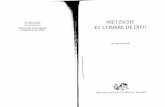 Didier Franck Nietzsche Ombre de Dieu.pdf