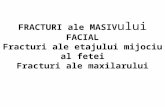 Fracturi Masiv Facial - Curs 3