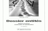 Dossier entités - Serge Fitz