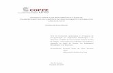 Tese de Doutorado - Jeremias de Souza Macedo COPPE - UFRJ
