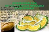 Penurunan Produksi Buah Durian