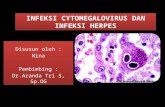 Infeksi Cytomegalovirus