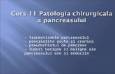Curs 11 Pancreas