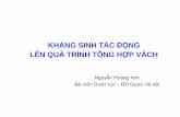 Khang Sinh Tac Dong Len Qua Trinh Tong Hop Vach