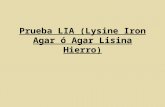 Prueba LIA (Lysine Iron Agar ó Agar