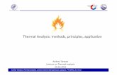 Andrey Tarasov Thermal Analysis 121026