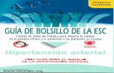 Guia de Bolsillo de la ESC (HTA).pdf