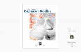 Victor Loghin - Copacul Bodhi