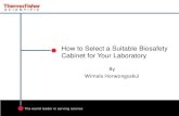 How to Choose a Suitable BSC for Your Lab for Becthai
