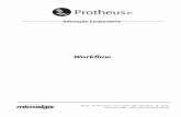 Manual Workflow Protheus 10