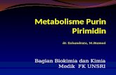 IT 11 - Metabolisme Purin Pirimidin - SUB