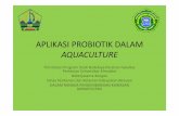 Aplikasi Probiotik Dalam Aquaculture