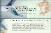 Sistem Muskuloskeletal (Osteosarkoma)