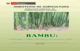 Boletin Tecnico Bambu