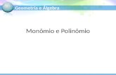 Cálculo Algébrico - Monômios e Polinômios