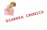 Diarrea Cronica Exposicion