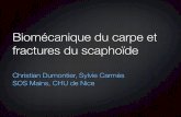 biomécanique carpe et scaphoide-ADERF - copie.pdf