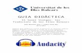 GUIA DIDÀCTICA (àudio)