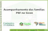 Acompanhamento das famílias PBF no Sicon