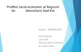Profilul Socio-economic Al Regiunii de Dezvoltare Sud-Est