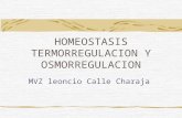 Homeostasis Termo y Osmo[1]