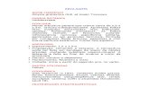 Erva-Santa - Aloysia gratissima (Gill. Et Hook) Troncoso. - Ervas Medicinais – Ficha Completa Ilustrada