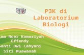 p3k lab biologi