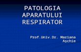 Curs 3 Patologia Respiratorie