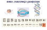 Bab 3 Substansi Genetika Perbaikan 2
