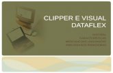 Clipper e Visual Dataflex