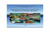 Catalogo Peces Pacifico Agua Salada