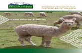Catalogo Alpacas Cusco
