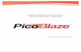 Pico Blaze