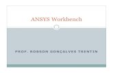 ANSYS - Workbench