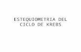 Estequiometria Del Ciclo de Krebs (2)