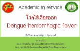 Academic in Service