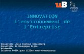 Innovation 3 L Environnement de L-Entreprise