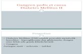 Gangren pedis et causa Diabetes Mellitus II.pptx