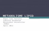 6. Metabolisme Lipid