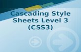 Cascading Style Sheets Level 3 (CSS3) (1)