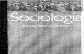 O que é a Sociologia - António Firmino da Costa