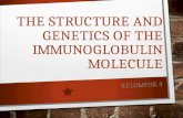 The Structure and Genetics of the Immunoglobulin Molecule 2.ppt